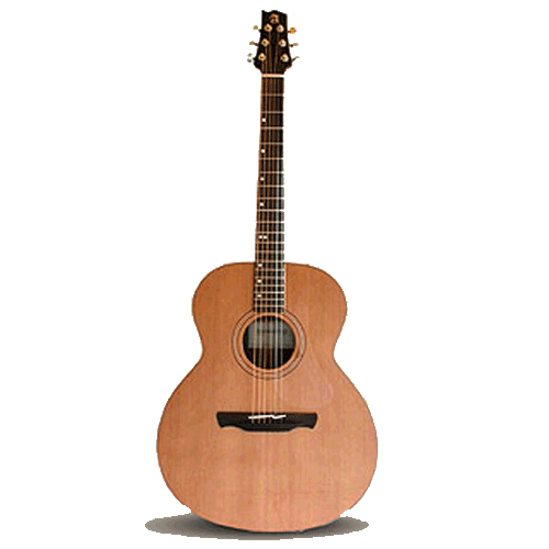 guitarra